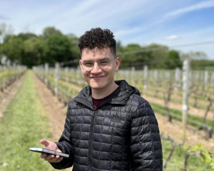 A man in a vineyard with a phone in his hand