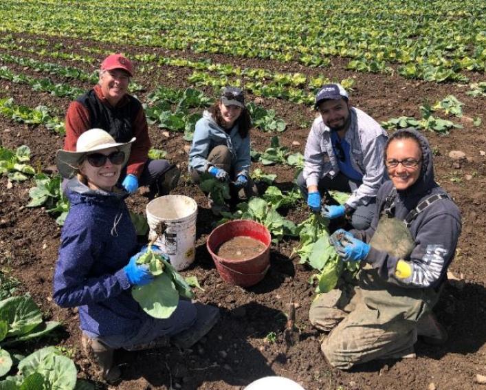 A group sitting on the ground in a cabbage field posing for the camera