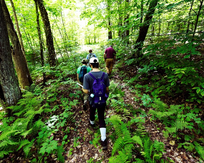 Students hiking in forest