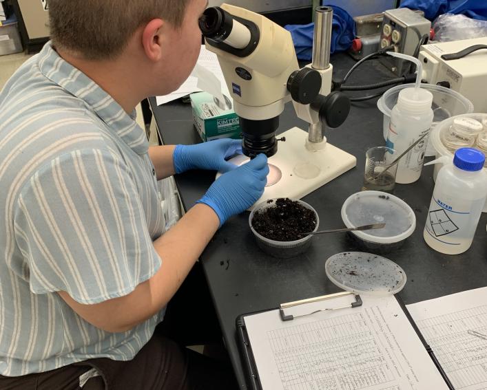 students in lab
