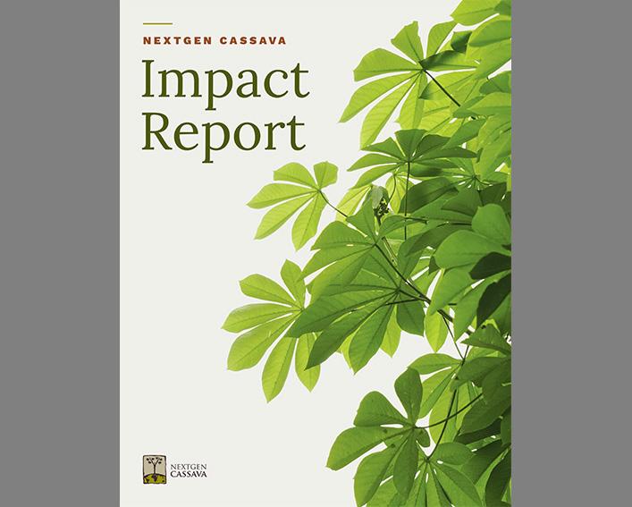 impact report cover with backlit cassava plant