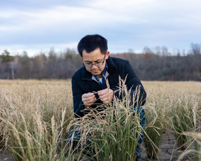 Man in wheat field