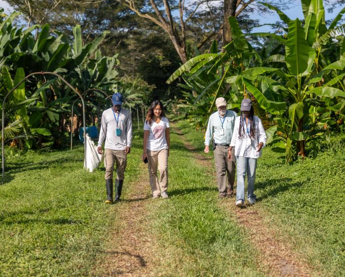 Students tour a farm in Costa Rica