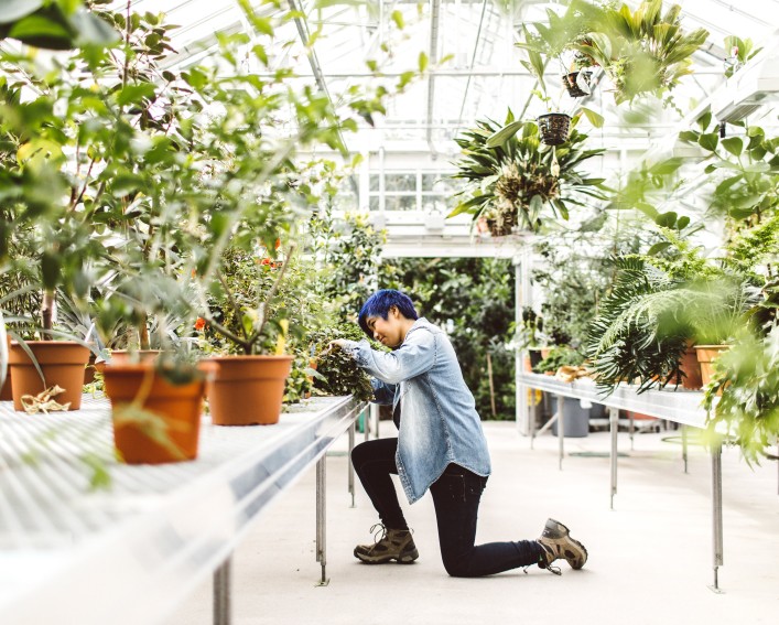 A student examines plants in a greenhouse.