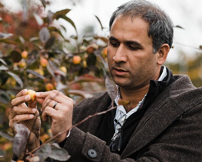 Awais Khan spotlight