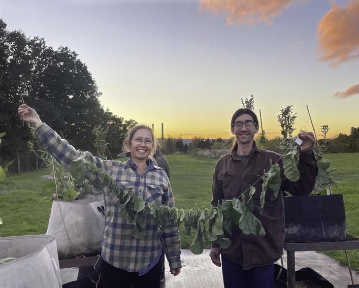 Two young people holding harvested ceremonial tobacco