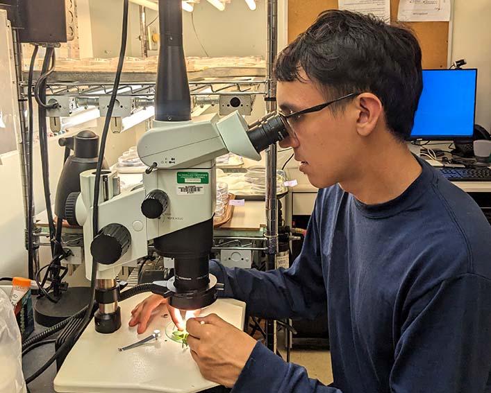 seb at microscope