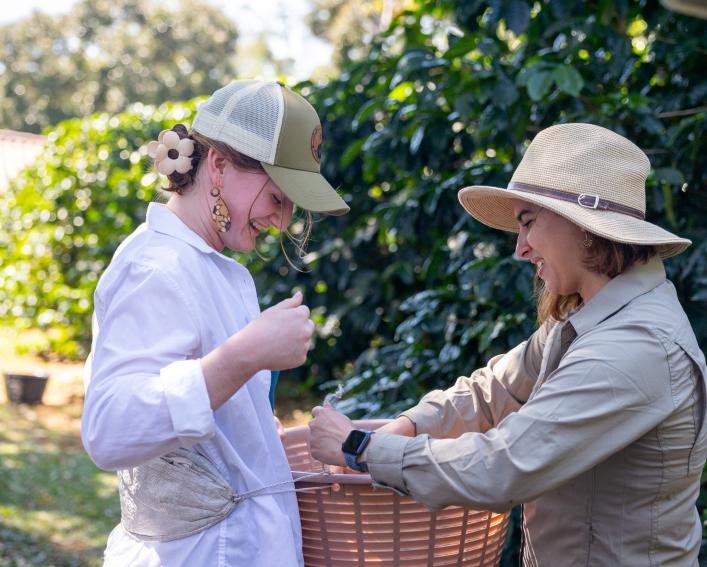 Two women prepare basket for coffee picking