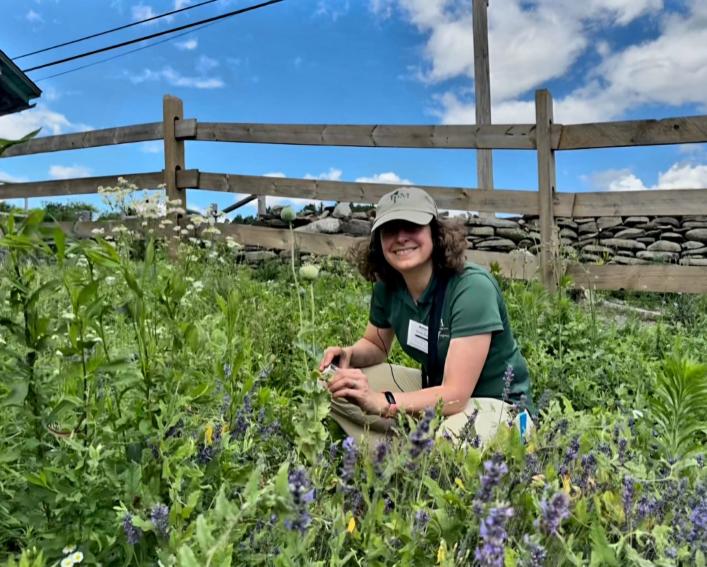 A person squatting in a patch of wildflowers in front of a fence