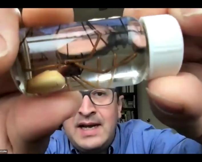 Alejandro holding a vial with a preserved relative of the joro spider up to the camera. 