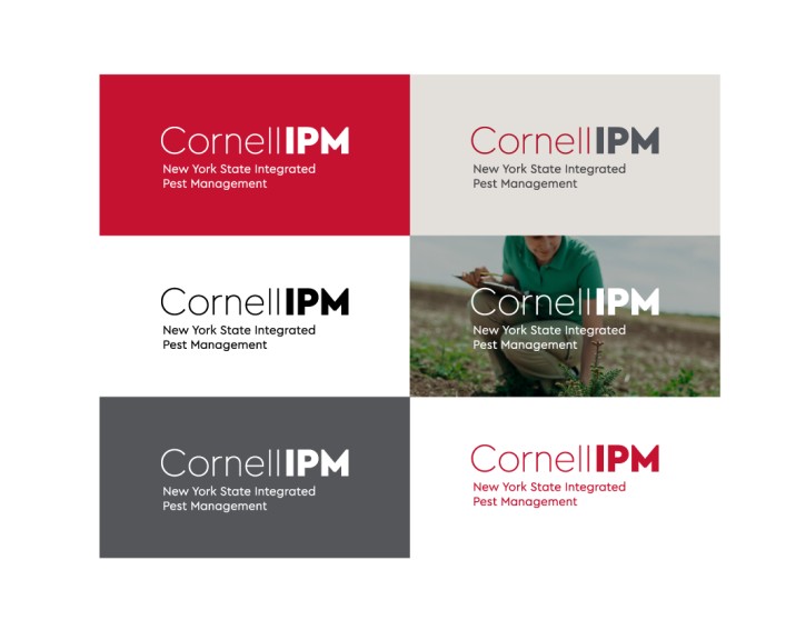 primary Cornell IPM wordmark color variants on a variety of approved backgrounds