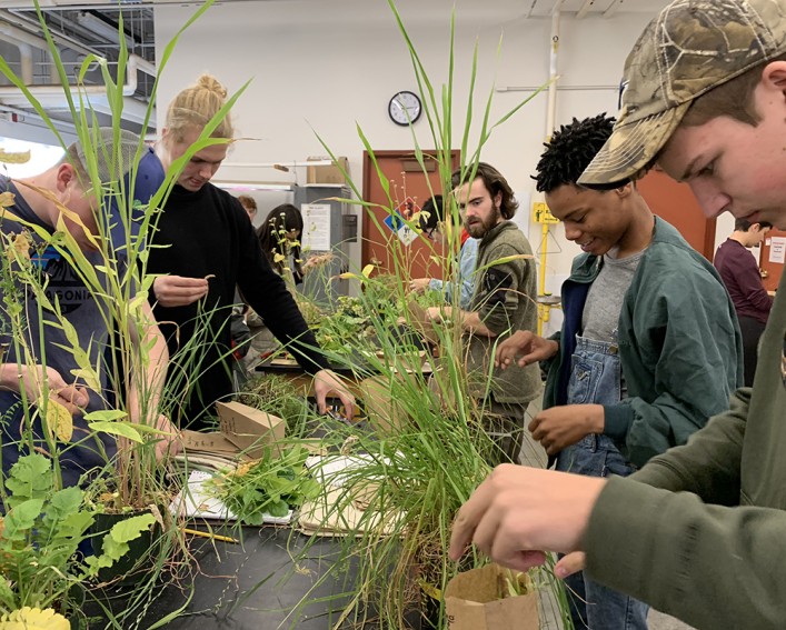 Students in a greenhouse facility with plants