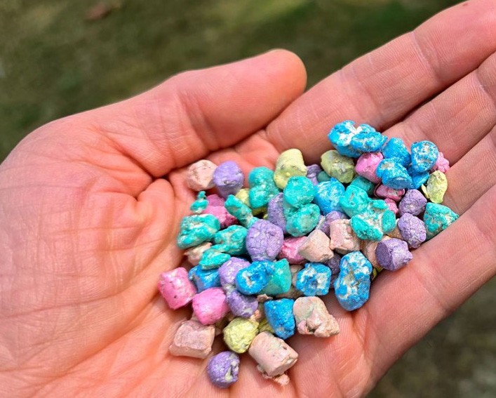 handful of rainbox colored seed pellets