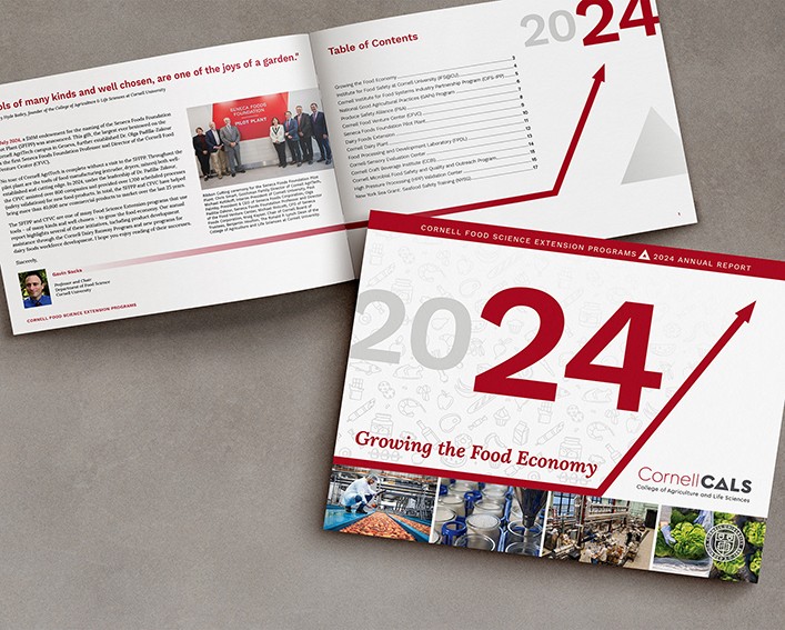 Thumbnail image of the 2024 annual report cover