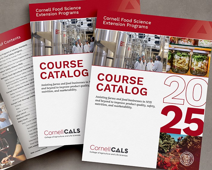 Thumbnail image of the IFS 2025 course catalog cover