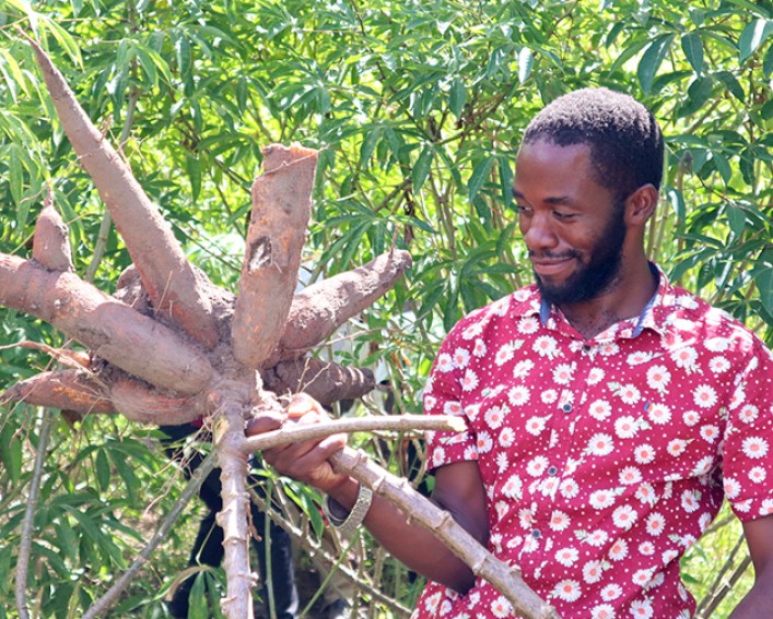 man with large cassava root