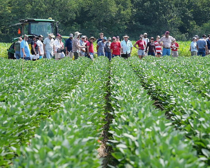 soybeans field day group