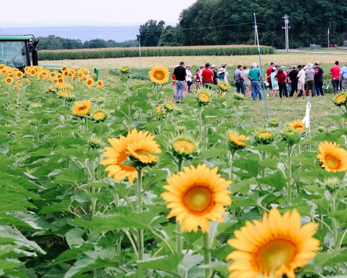 2021 Cornell Field Crops 