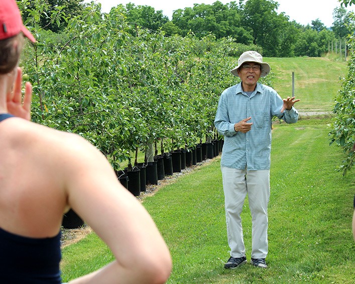 cheng nursery apples 