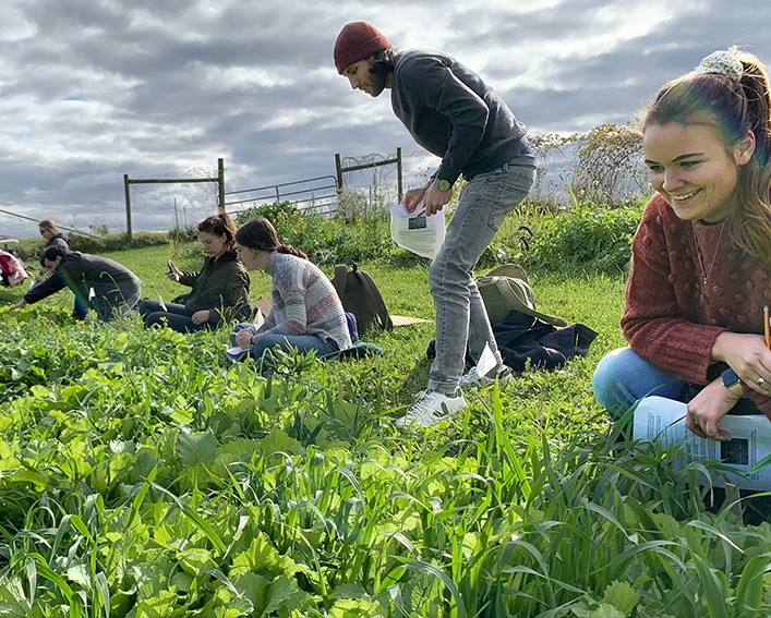 students in cover crop plots