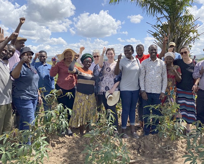 group in casava field