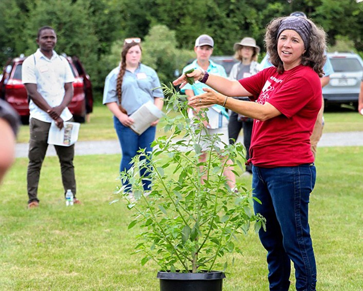 sosnoskie talking about potted weed to field day group