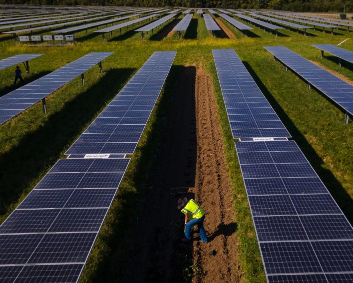A person in a field of solar panels.