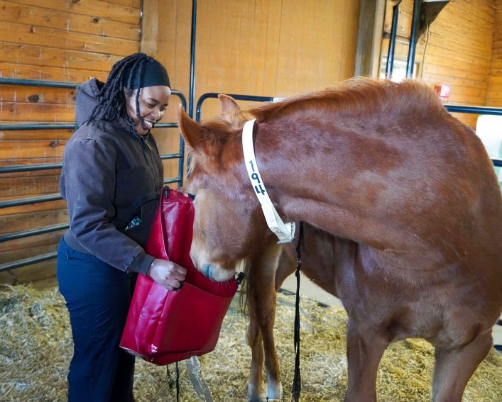a woman holds a large bag and a horse looks into it