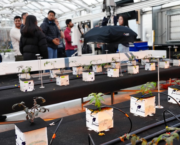 Plants connected with sensors and hoses in a greenhouse