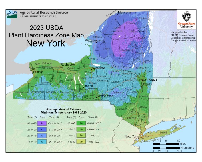 Hardiness Zone Map for NY