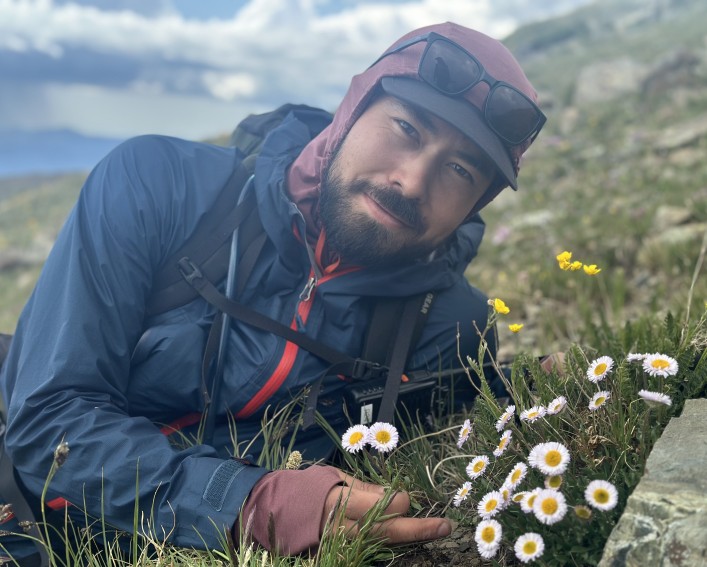 man and alpine daisy