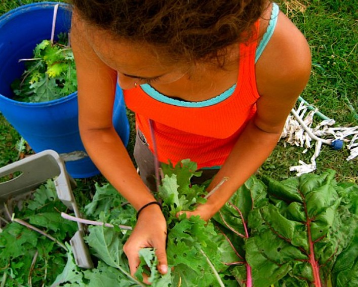 Student and produce