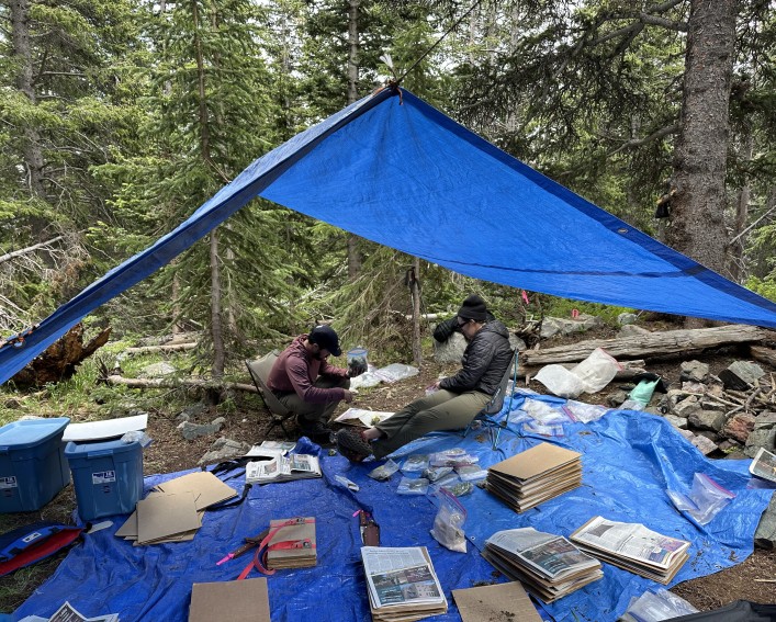 2 researchers processing specimens under a tarp in the mountains