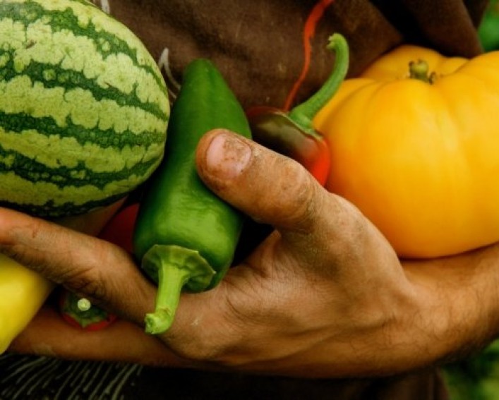 hand holding produce