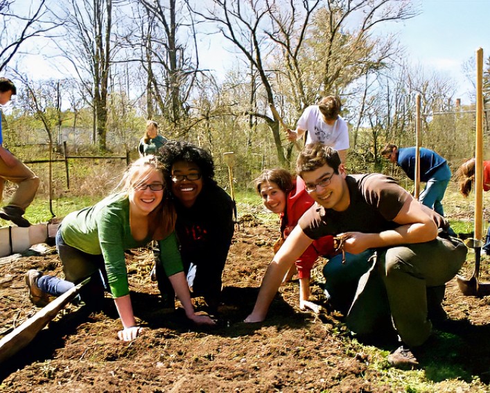 A group of students working in the field