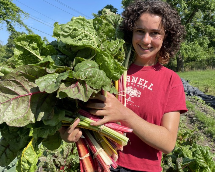 Willa with an arm full of chard