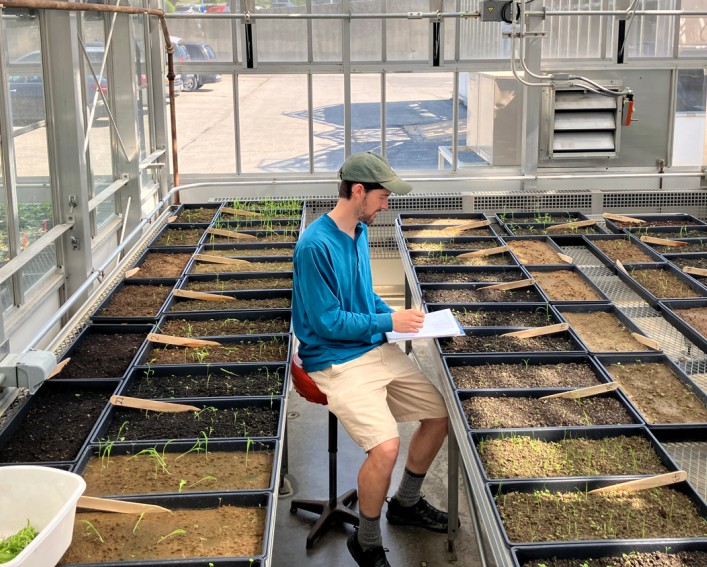 A person sits on a high stool in a greenhouse, surrounded by tables of flats filled with soils of various colors. Small seedlings can be seen growing in the flats.