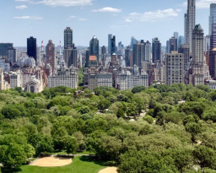 NYC skyline from central park