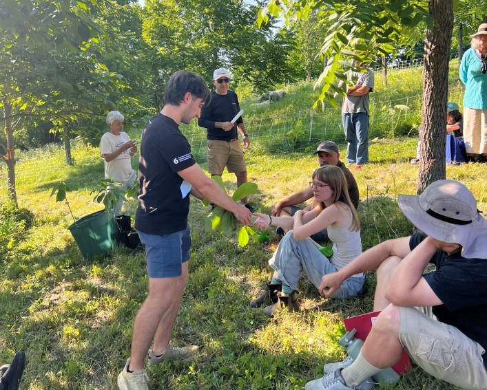 People at a grove with fruit trees grove 