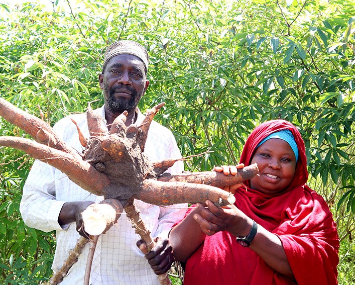 asha and her husband with cassava root
