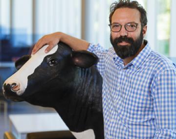 Sam Alcaine assistant professor.