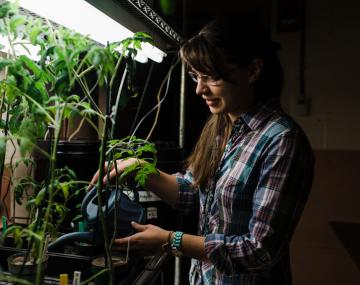 A woman waters plants on a wire shelf