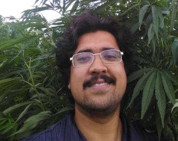 Man in front of hemp plants.
