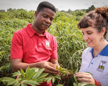 A man and woman stand in a agriculture field and examine plants