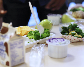 school lunch tray 