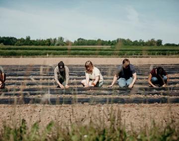 4 students in a field