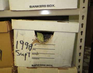 file box with evidence of rodent damage