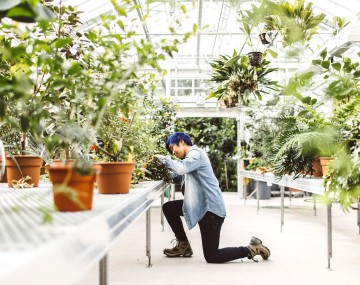 A student examines plants in a greenhouse.