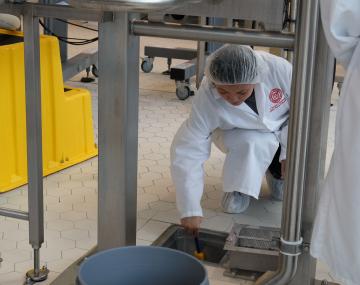 S person swabbing a drain in a food processing facility