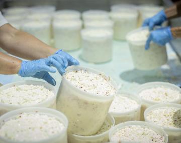 Two people are putting cheese curds in a mold